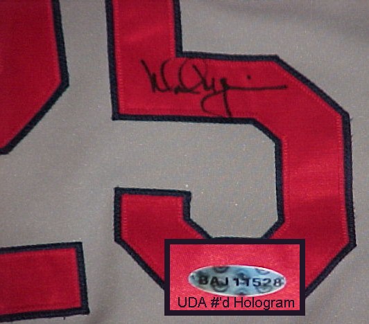 Name:  mcgwire_gameused_2000_jersey_sig.jpg
Views: 3759
Size:  56.8 KB