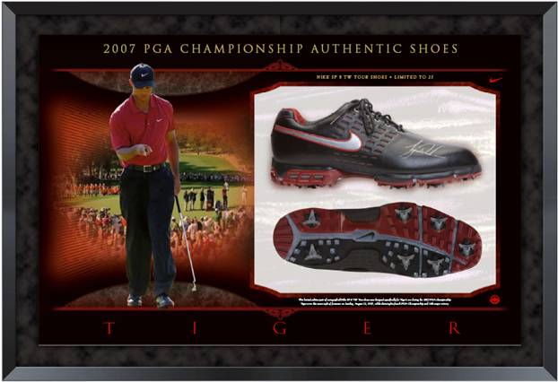 Name:  tiger_woods_shoes.jpg
Views: 350
Size:  37.6 KB